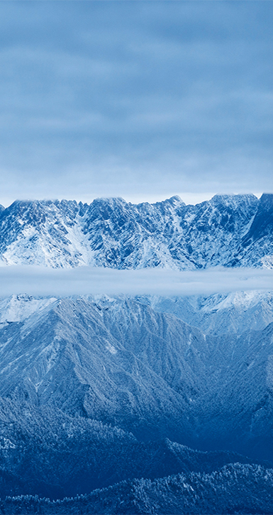 关于人生就是搏